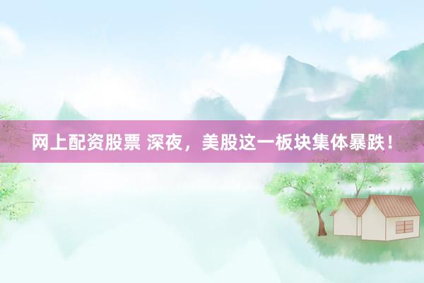 网上配资股票 深夜，美股这一板块集体暴跌！