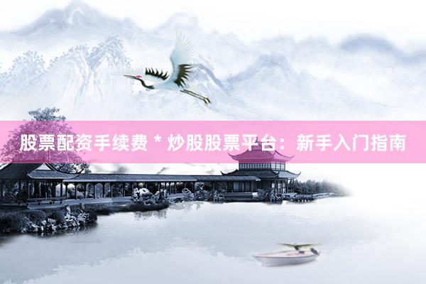 股票配资手续费 * 炒股股票平台：新手入门指南