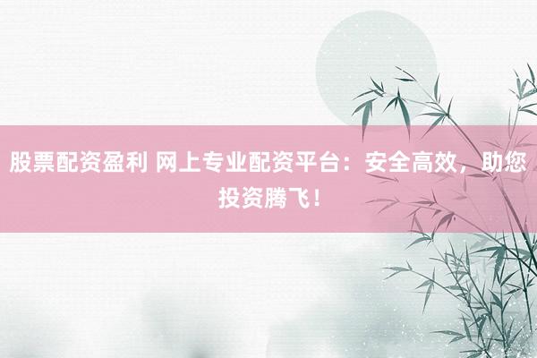 股票配资盈利 网上专业配资平台：安全高效，助您投资腾飞！
