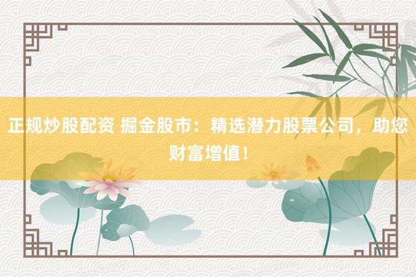 正规炒股配资 掘金股市：精选潜力股票公司，助您财富增值！