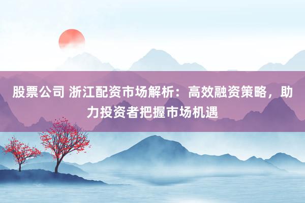 股票公司 浙江配资市场解析：高效融资策略，助力投资者把握市场机遇