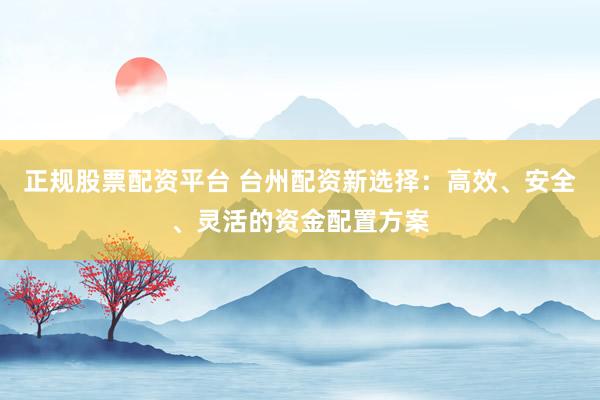 正规股票配资平台 台州配资新选择：高效、安全、灵活的资金配置方案