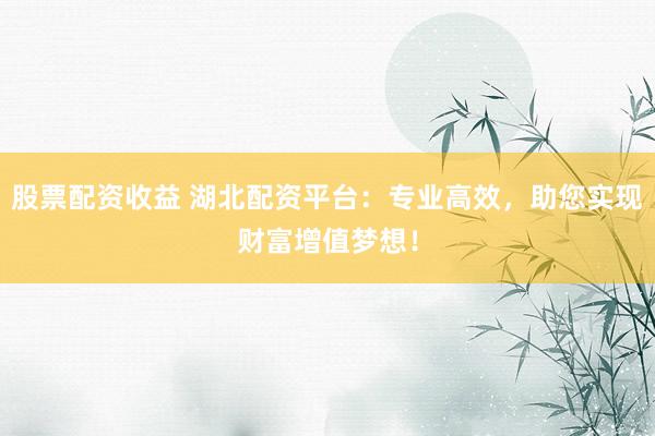 股票配资收益 湖北配资平台：专业高效，助您实现财富增值梦想！