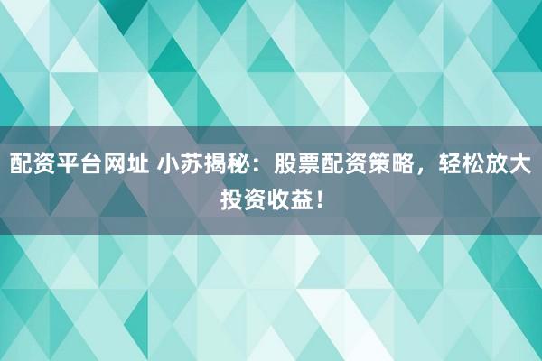 配资平台网址 小苏揭秘：股票配资策略，轻松放大投资收益！