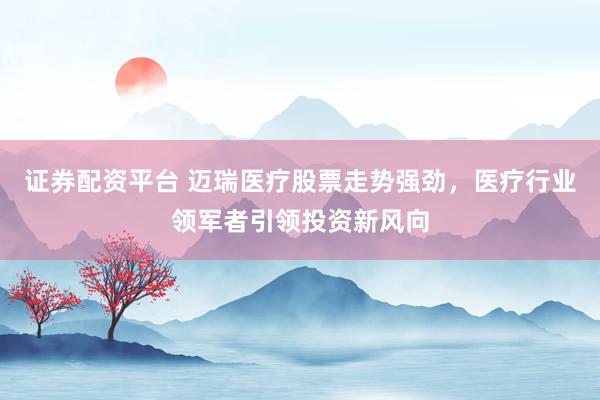 证券配资平台 迈瑞医疗股票走势强劲，医疗行业领军者引领投资新风向