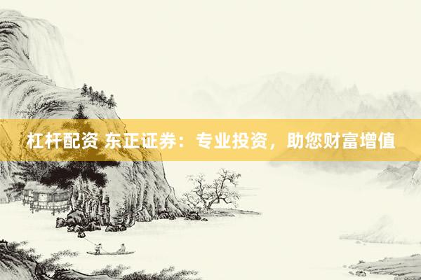 杠杆配资 东正证券：专业投资，助您财富增值