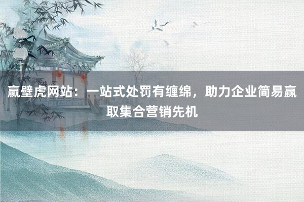 赢壁虎网站:一站式处罚有缠绵,助力企业简易赢取集合营销先机
