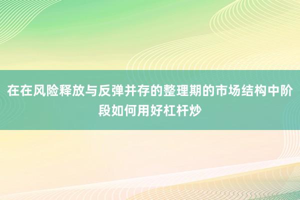 在在风险释放与反弹并存的整理期的市场结构中阶段如何用好杠杆炒