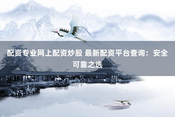 配资专业网上配资炒股 最新配资平台查询:安全可靠之选