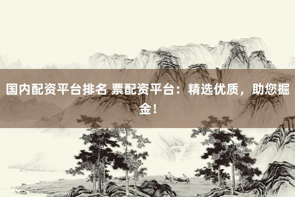 国内配资平台排名 票配资平台：精选优质，助您掘金！