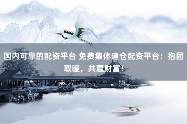 国内可靠的配资平台 免费集体建仓配资平台：抱团取暖，共赢财富！